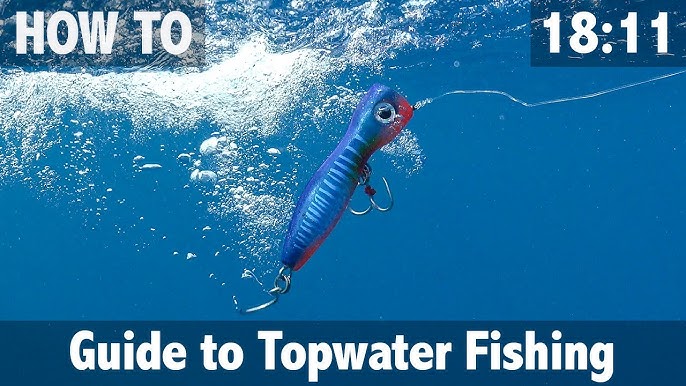 Topwater POPPER Surf Fishing! 