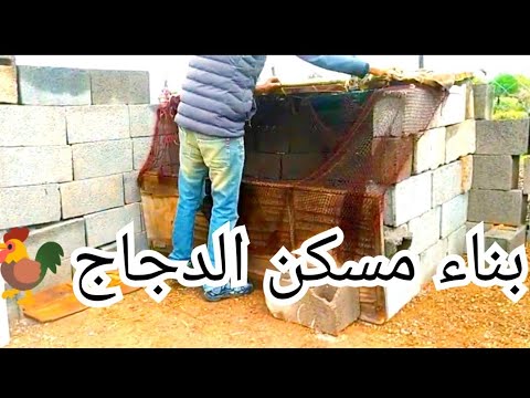 فيديو: كيف تبني بيت دجاج؟