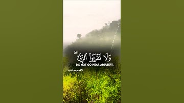 تلاوة خاشعة قرأن كريم راحة نفسية #قران_كريم #قرآن #elmulquranعلم #المصحف #اكسبلور #duet
