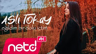 Aslı Tokay - Eğildim Bir Dolu İçtim Resimi