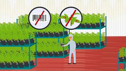 StashStock's RFID Scanner. The CannaScanner Is The Most Powerful RFID Cannabis Scanner On The Market