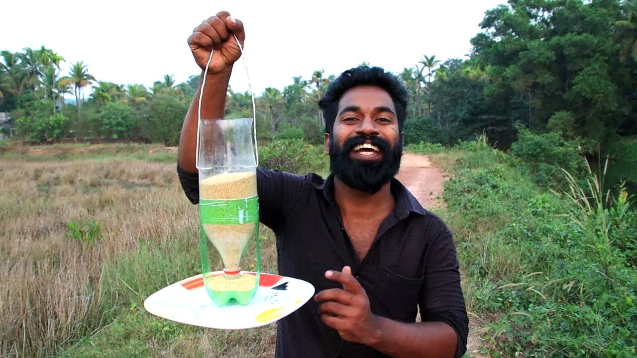 തീറ്റ  ഇനി ചുമ്മാ പോകില്ല  | Simple Bird Feeder Making | M4 Tech |