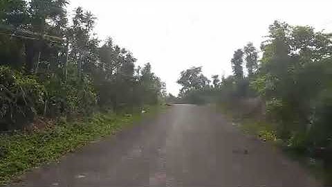 bán đất  mặt tiền đường nhựa liên huyện Cưmgar qua huyện buôn đôn, tỉnh Đăk Lăk