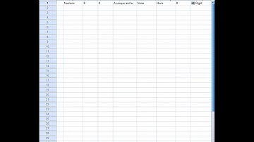 SPSS BEGINNER: How to define data dictionary in SPSS