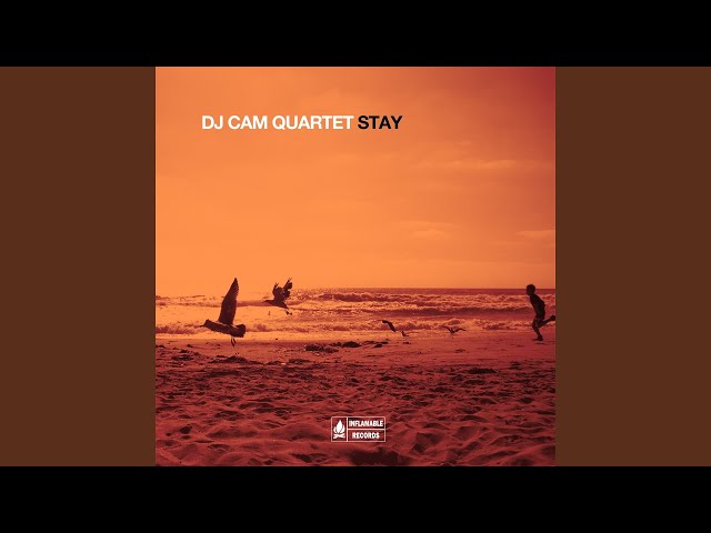 Dj Cam Quartet - Do for Love