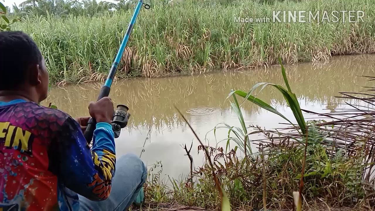  mancing ikan nila  babon YouTube