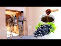 Amazing Traditional Grape Factory | A-Z by Hand and FEET! (Grape Molasses)