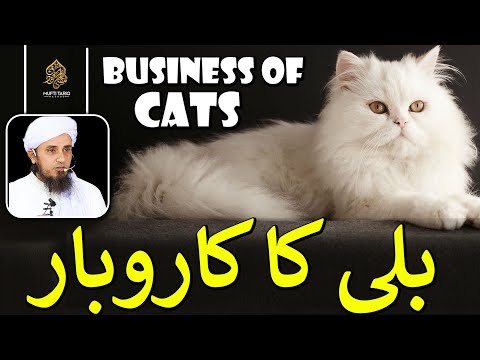 Billi ka karobar l Cat business  l Ask Mufti Tariq Masood | Masail Ka Hal | Solve Your Problems