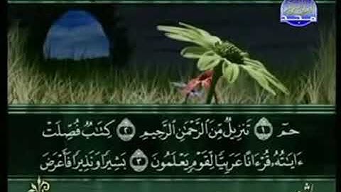 سورة فصلت من الآية 1 الى الآية 20