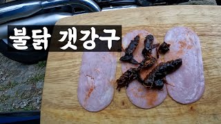 데이스타 타고 갯강구를 먹어보자 | 바이크 변천사