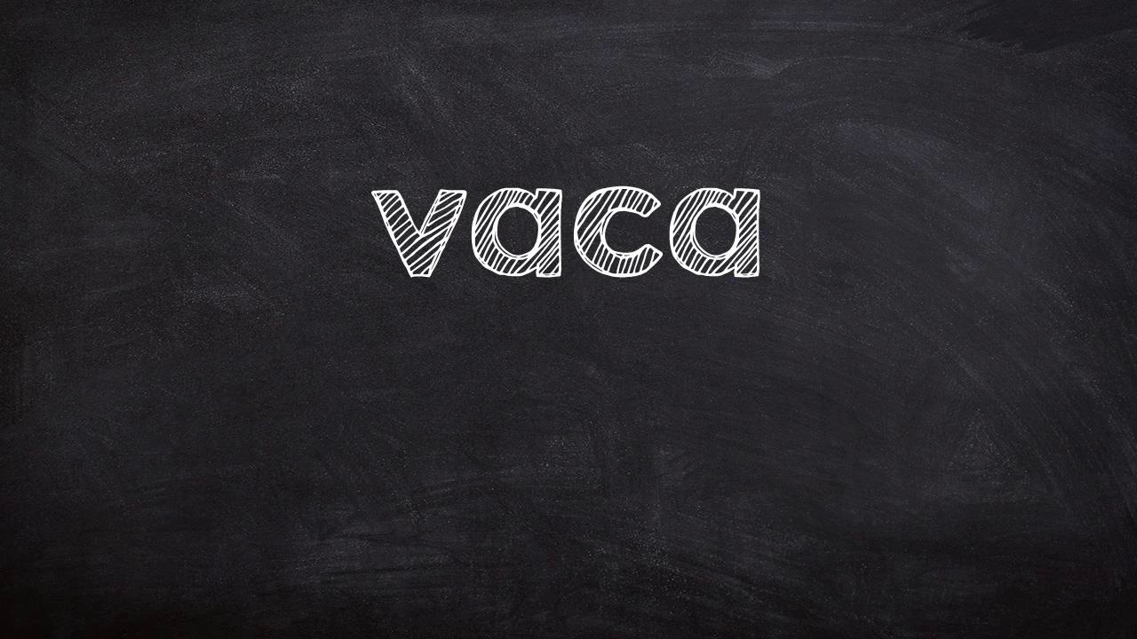 How To Say cow In Portuguese YouTube