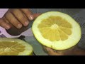 Pomelo, como fazer o preparo .