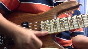 iPhone4s Warwick Streamer LX LTD 2011 with PlayPlus. #2