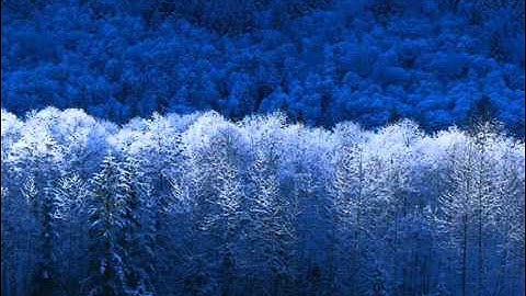 EXCLUSIF - احمد العجمي سوره الملك.flv