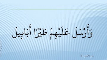 105 سورة الفيل  - مشارى راشد