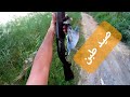 صيد طبن صيد العراق مقاطع صيد حمام الغابة Tahtali Avi Hunting In Iraq Wood Pigeon Hunting صيد طبن صيد العراق مقاطع صيد حمام الغابة Tahtali Avi Hunting In Iraq Wood Pigeon Hunting