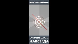 Как отключить Live Photo на iPhone навсегда