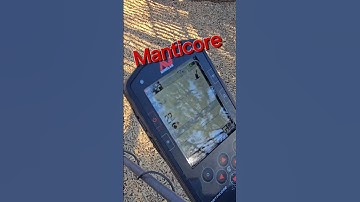 Minelab Manticore  👍😎 #shorts  #raydigsdetecting