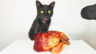 Cat eating Roast chicken ASMR