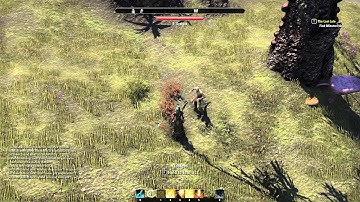 TESO Hacks-Botting 5 5 2014