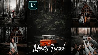 How To Edit Moody Forest | Lightroom Mobile Presets Free DNG screenshot 3