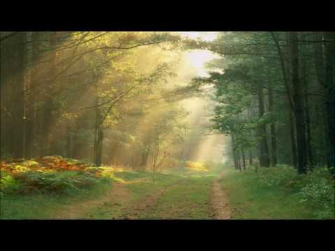 Song For Marta Jon Romagosa ONEORCHESTRA