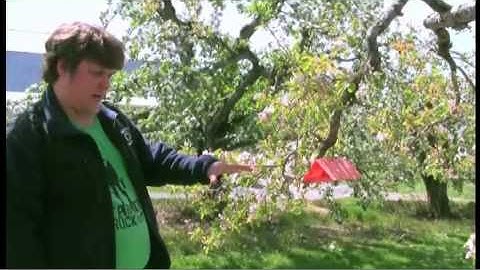 Growing Greener: Advanced Orchard IPM