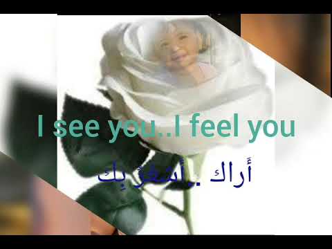 قلبى سوف يستمر