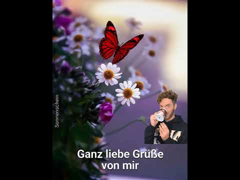 Schönen Nachmittag 🌞