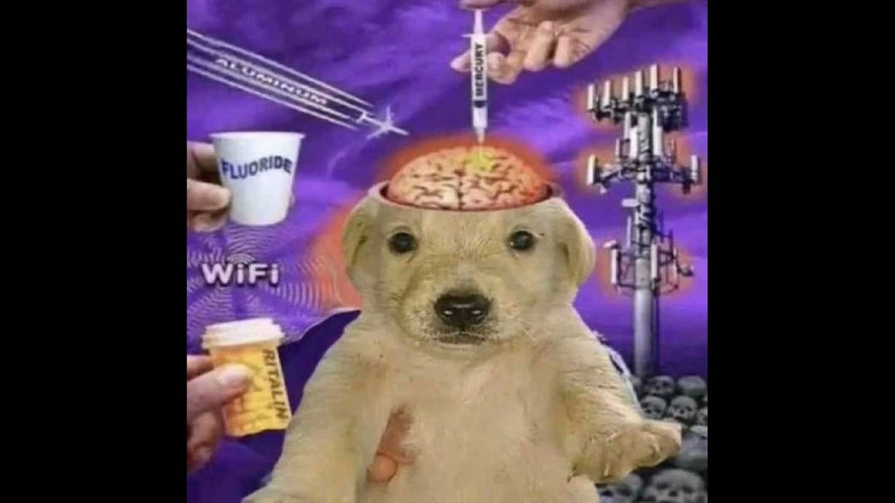 [free for profit] percatric + perc40 + meow type beat - "shhizocat" (prod.mineralgrave)