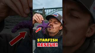 Rescuing Real Life Patrick Star! 😱 #animalrescue #cuteanimals #shorts