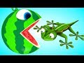 Pacman Gecko meets a Watermelon Pacman on farm as he find surprise box
