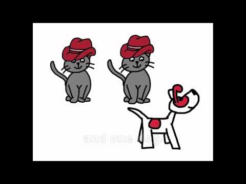 Plural Regular Song - "2 Hats, 2 Cats and 1 Dog