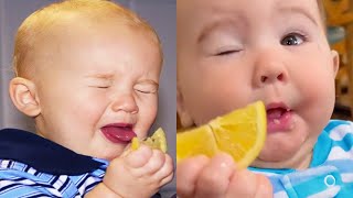 Babies Eating Lemons for the First Time - Baby eat lemon 🍋🍋🍋- Funny Trendy Everyday