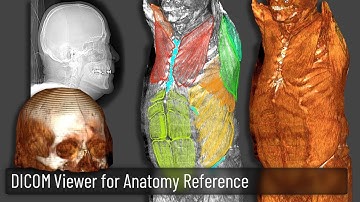 DICOM Viewer for Anatomy Reference - View cross sections and 3D layers, from the inside-out!