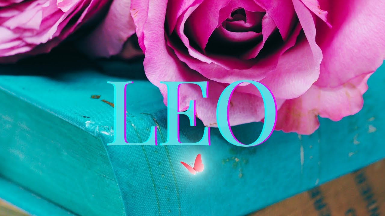 Leo someone who went silent! ❤️What to expect & what you have to look forward to!