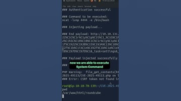 Your Webmail (RoundCube) Is NOT Safe! (CVE-2025-49113)