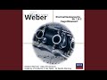 Miniature de la vidéo de la chanson Konzert Für Fagott Und Orchester F-Dur, Op. 75: Ii. Adagio