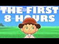 My first time playing animal crossing new horizons