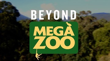 Beyond Mega Zoo - The Helmeted Honeyeater