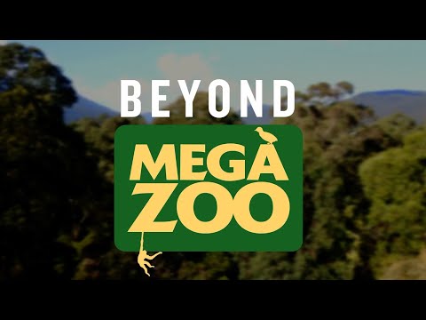 Beyond Mega Zoo - The Helmeted Honeyeater