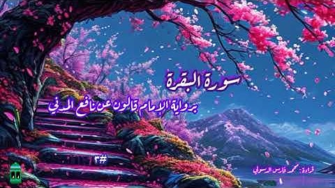 سورة البقرة من الآية 188 إلى الآية 210 برواية الإمام قالون عن نافع المدني محمد فارس الدسولي