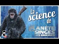 Alzheimer football et thrapies gniques la science de la plante des singes 