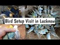 Lucknow bird setup visit