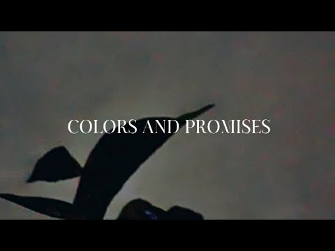 Asthentic Videos Heart Beats Colour And Promises Song Heart Beats Color Promise