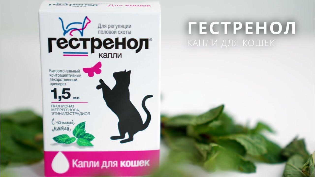 Гестренол капли для кошек. Распаковка. - YouTube
