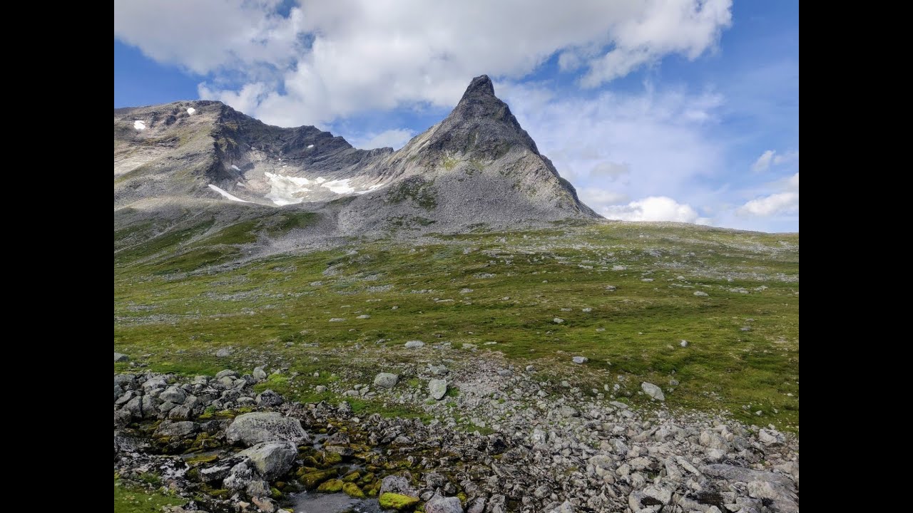 Storvasshornet 1664 moh