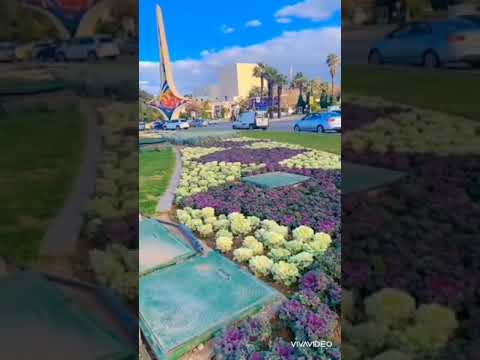 شقد ما تمر بلاد حلوه سوريا