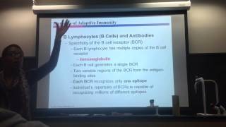 Dr. CY's Microbiology Chapter 16 Lecture Part 1